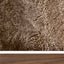 Walnut | Sahara